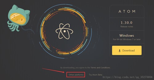 atom݋