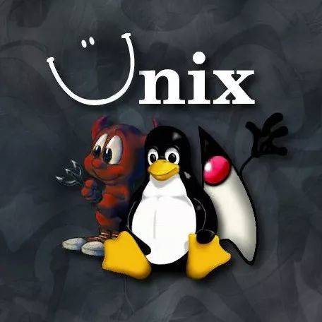 利用Linux命令行進(jìn)行文本去重并按重復(fù)次數(shù)排序