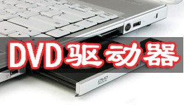 dvd(q)(dng)ʹýB